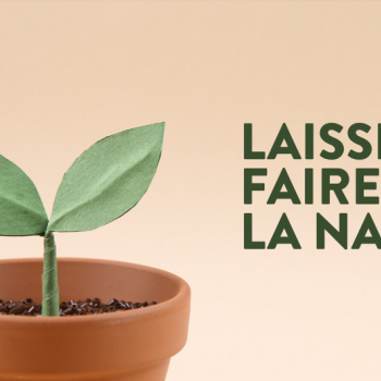 Tous producteurs de Cornichons Français