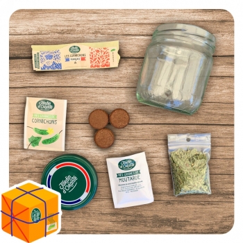 Kit Mon Cornichon Maison : Cultivez vos cornichons français