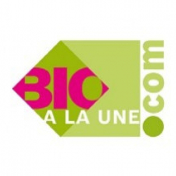 Sauce salade sans huile Echalotes Ciboulette